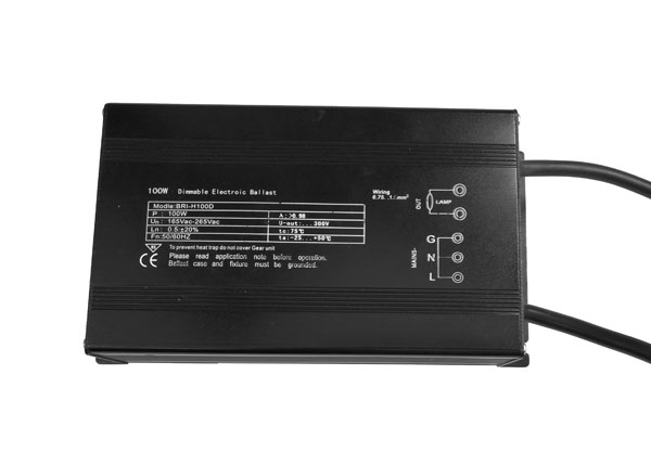 HID Electronic Ballast 100W